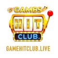 Gamehitclub Avatar, Gamehitclub Profilbild