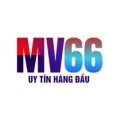 Mv66city Avatar, Mv66city Profilbild