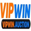 Vipwinauction Avatar, Vipwinauction Profilbild