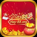 Hay88org Avatar, Hay88org Profilbild