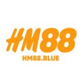 Hm88blue Avatar, Hm88blue Profilbild