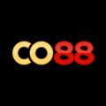Co88info Avatar, Co88info Profilbild
