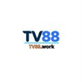 Tv88work Avatar, Tv88work Profilbild