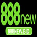 888newbid Avatar, 888newbid Profilbild