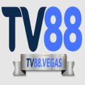 Tv88vegasv Avatar, Tv88vegasv Profilbild