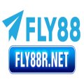 Fly88rnet Avatar, Fly88rnet Profilbild