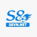 S8vnnet Avatar, S8vnnet Profilbild