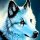 User Wolfi, Profilbild, Avatar