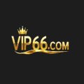 Vip66channel Avatar, Vip66channel Profilbild