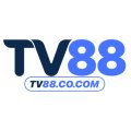 Tv88cocom Avatar, Tv88cocom Profilbild