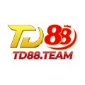 Td88team Avatar, Td88team Profilbild