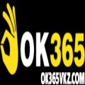 Ok365vkzcom Avatar, Ok365vkzcom Profilbild