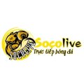 Socolivews1 Avatar, Socolivews1 Profilbild