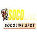 Socolivespo Avatar, Socolivespo Profilbild