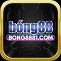 Bong881com Avatar, Bong881com Profilbild