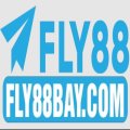Fly88baycom Avatar, Fly88baycom Profilbild