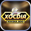 Xocdiaboo1 Avatar, Xocdiaboo1 Profilbild
