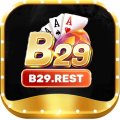 B29rest Avatar, B29rest Profilbild