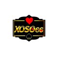 Xoso66observer Avatar, Xoso66observer Profilbild