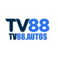 Tv88com Avatar, Tv88com Profilbild