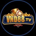 Vnd88tv Avatar, Vnd88tv Profilbild