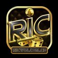 Ricwincomco Avatar, Ricwincomco Profilbild