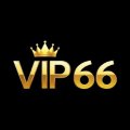 Vip66bettcom Avatar, Vip66bettcom Profilbild