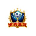 Nowgoal29dev Avatar, Nowgoal29dev Profilbild