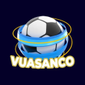 Vsc2net Avatar, Vsc2net Profilbild