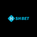 Shbetracing Avatar, Shbetracing Profilbild