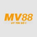 Mv88ceo Avatar, Mv88ceo Profilbild