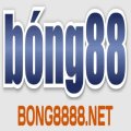 Bong8888net Avatar, Bong8888net Profilbild