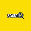 Soikeosavanttrigger Avatar, Soikeosavanttrigger Profilbild