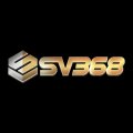 Sv368appinfo Avatar, Sv368appinfo Profilbild