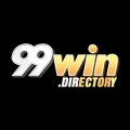 99windirectory Avatar, 99windirectory Profilbild