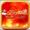 Hay88Com Avatar, Hay88Com Profilbild