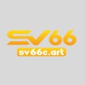 Sv66cart Avatar, Sv66cart Profilbild