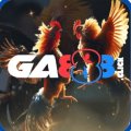 Ga888click Avatar, Ga888click Profilbild