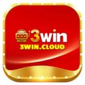 3wincloud Avatar, 3wincloud Profilbild