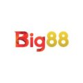 Big88net Avatar, Big88net Profilbild