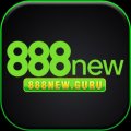 888newguru Avatar, 888newguru Profilbild
