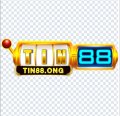 Tin88ong Avatar, Tin88ong Profilbild