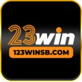 123winsbcom Avatar, 123winsbcom Profilbild