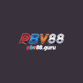 Pbv88 Avatar, Pbv88 Profilbild