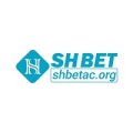 Shbetacorg Avatar, Shbetacorg Profilbild