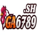Ga6789sh1 Avatar, Ga6789sh1 Profilbild