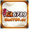 Ga6789cv Avatar, Ga6789cv Profilbild