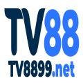 Tv8899net Avatar, Tv8899net Profilbild