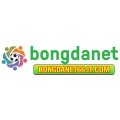 Bongdanet66itco Avatar, Bongdanet66itco Profilbild