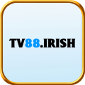 Tv88irish Avatar, Tv88irish Profilbild